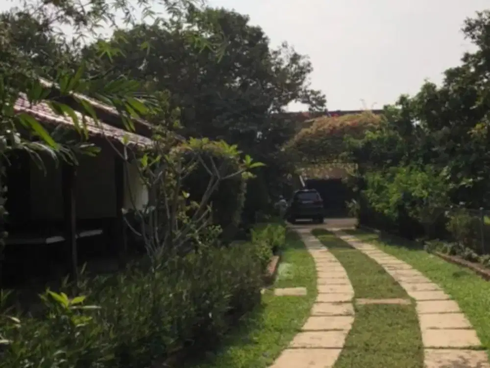 Tanah kebun berikut villa dan tanaman keras untuk menikmati hidup tenang di masa tua