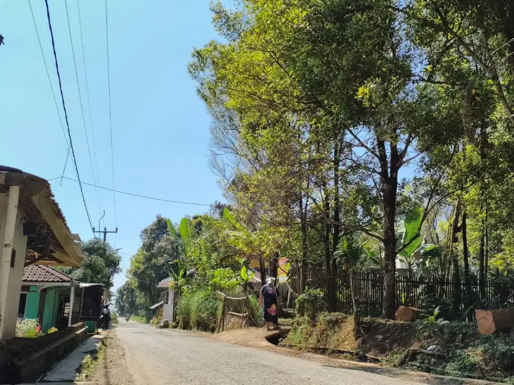 Lahan Kebun Datar Strategis & Produktif di Desa Wisata Pasanggrahan, Darangdan, Purwakarta