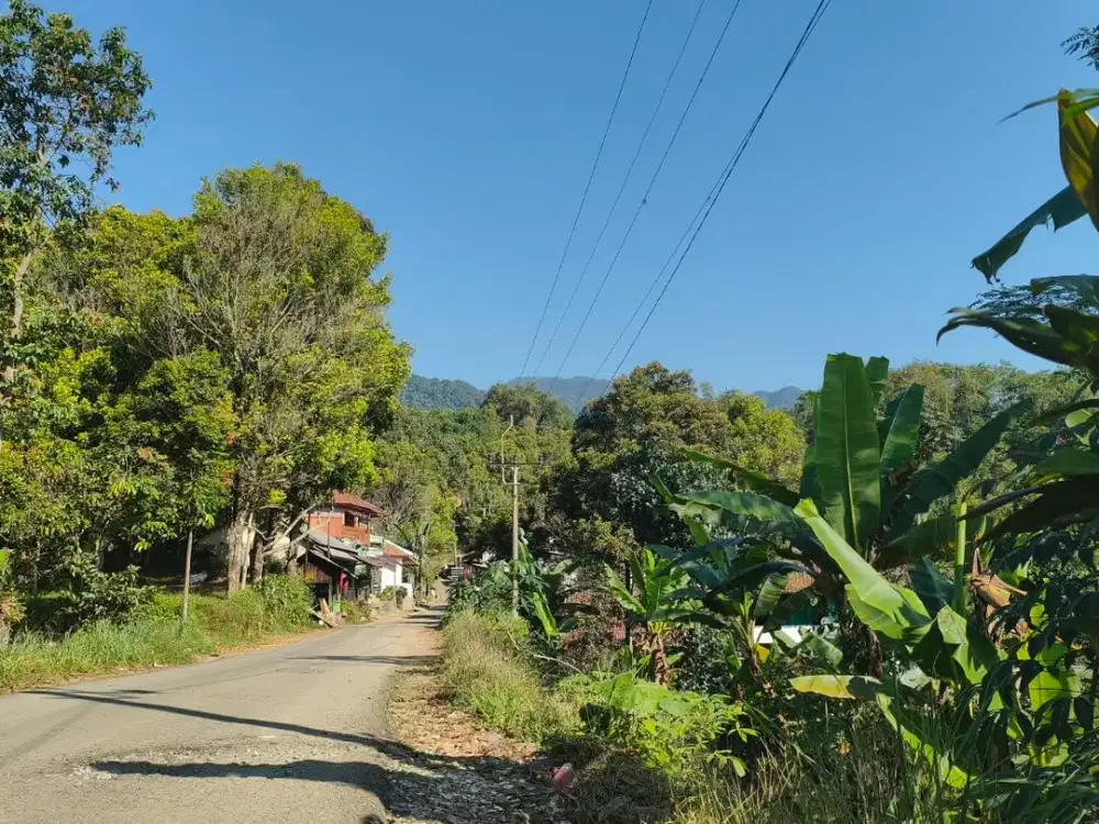 DIJUAL CEPAT Lahan Strategis 900 MDPL Samping Jalan Desa Wisata di Purwakarta – Hanya 250rb/m² Nego