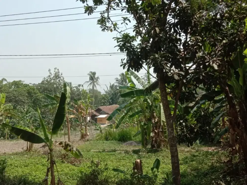 Tanah Potensial 1.400 M² di Curug Badak Lebak