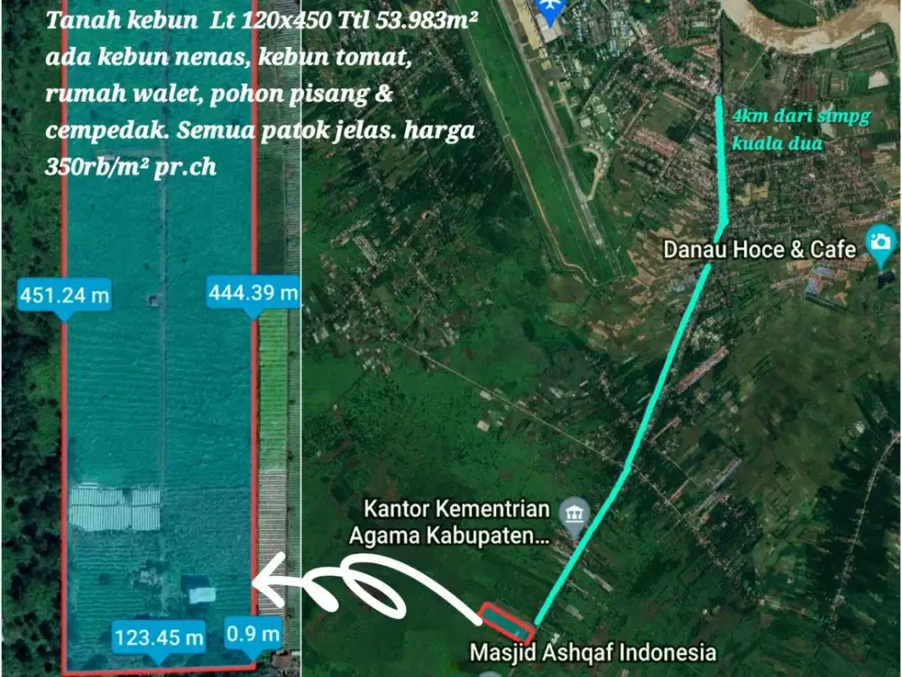 DIJUAL TANAH KEBUN DEKAT BANDARA SUPADIO – SUDAH ADA TANAMAN & RUMAH WALET