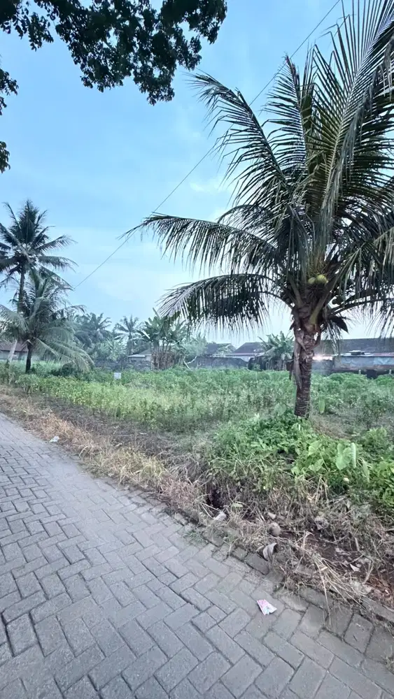 TANAH DIJUAL 25x35