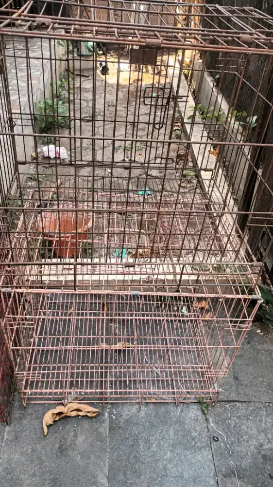 2 buah Kandang kucing ukuran 60