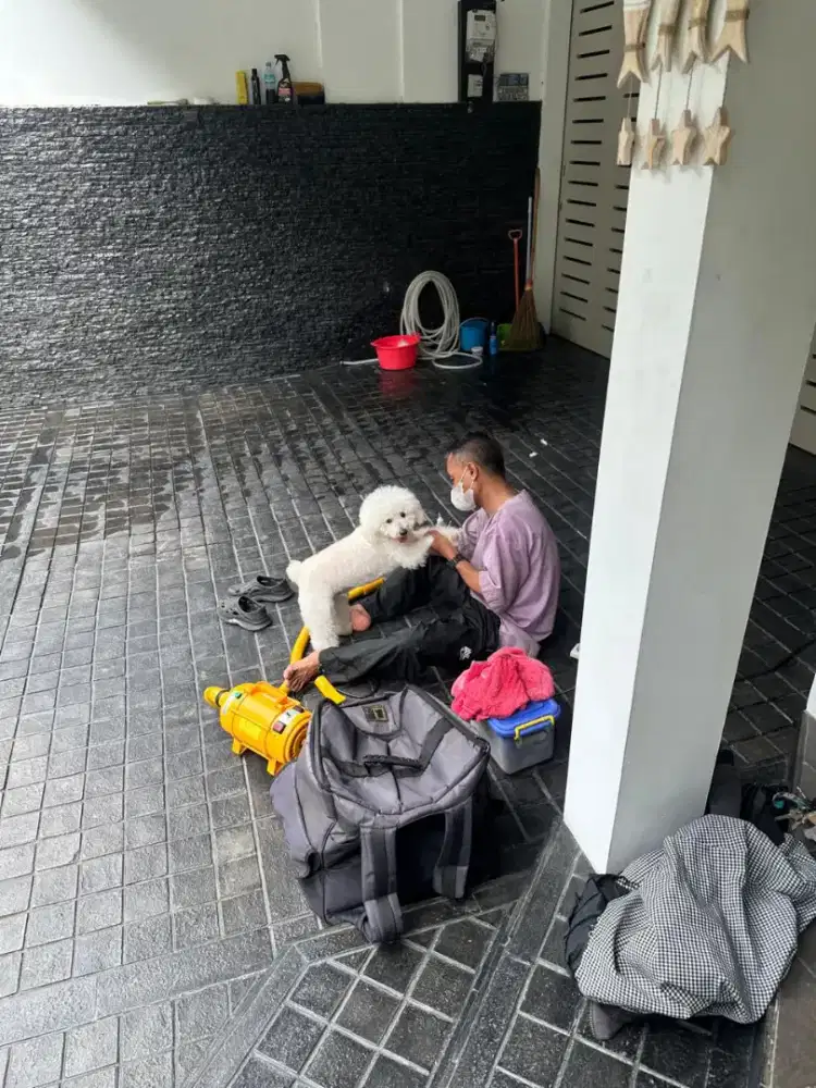 Grooming Kucing Anjing panggilan ke rumah