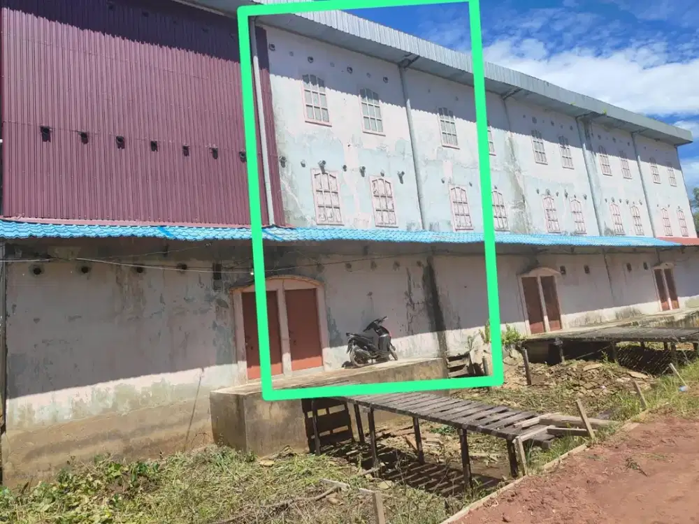Dijual 3 Rumah Usaha Sarang Burung di Kalimantan Barat