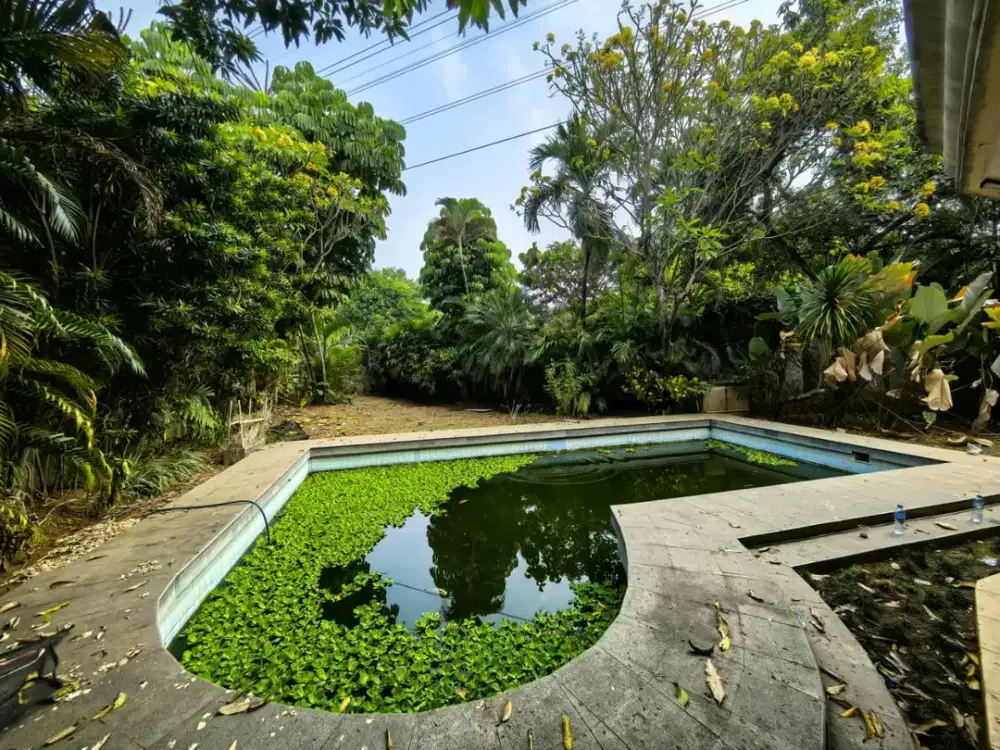 Rumah Dijual di Kemang Jakarta Selatan – 1.150 m², Kolam Renang, Di Bawah NJOP, BU dibawah pasar