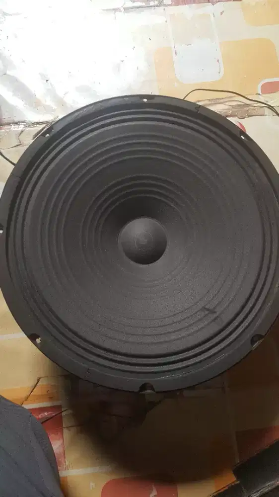speaker 15inch copotan
