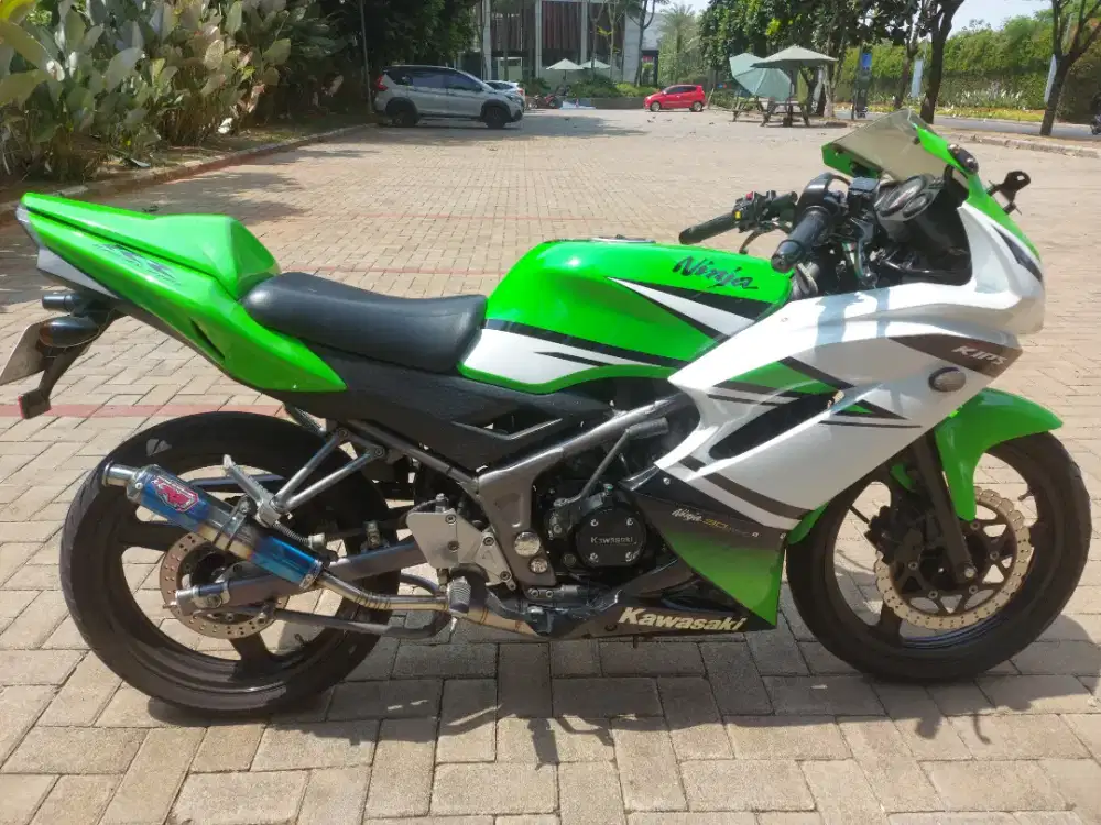 Ninja rr new 2013