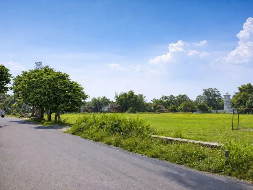 Dijual Tanah datar SHM dekat akses jalan utama Dramaga Bogor dilalui angkot harga dibawah pasaran