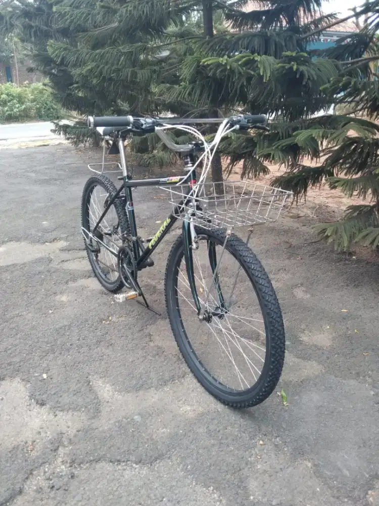 sepeda federal/commuter bike 26