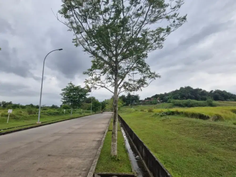 Tanah di dalam Kawasan Industri Cikarang Delta Silicon 1 Hektar