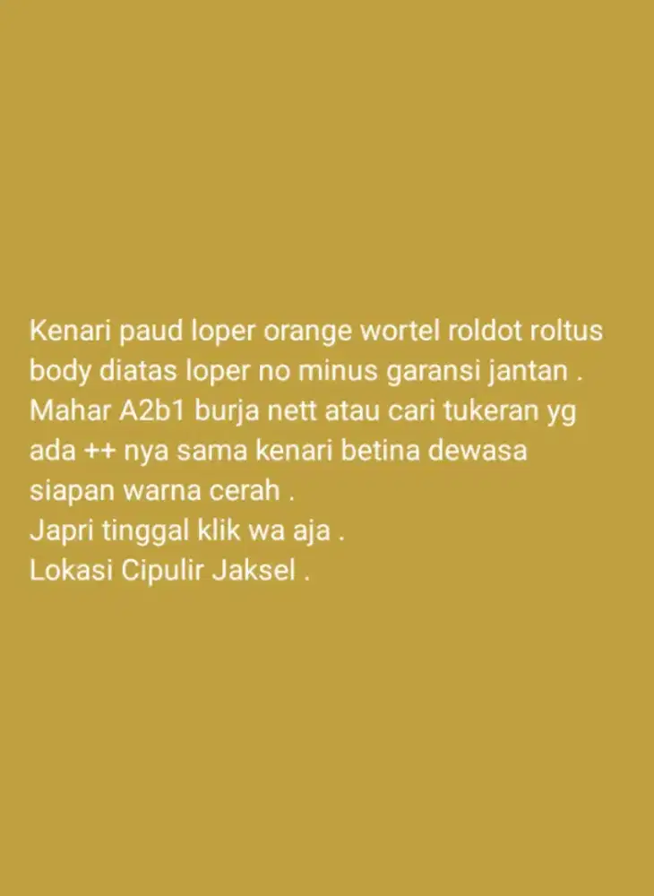 Kenari loper orange wortel