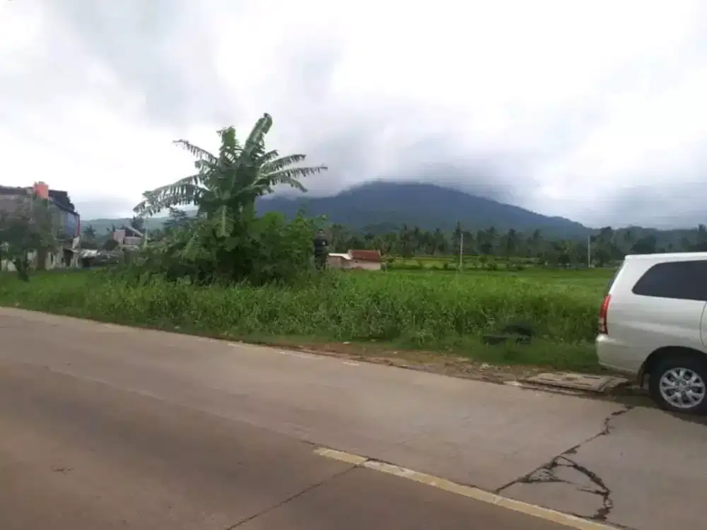 Dijual Tanah Sawah di jl. Raya Labuan-Pandeglang