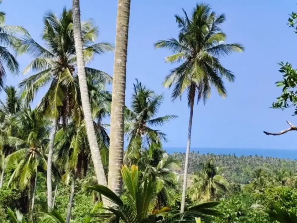 DIJUAL TANAH LUAS – BALIAN BEACH, TABANAN