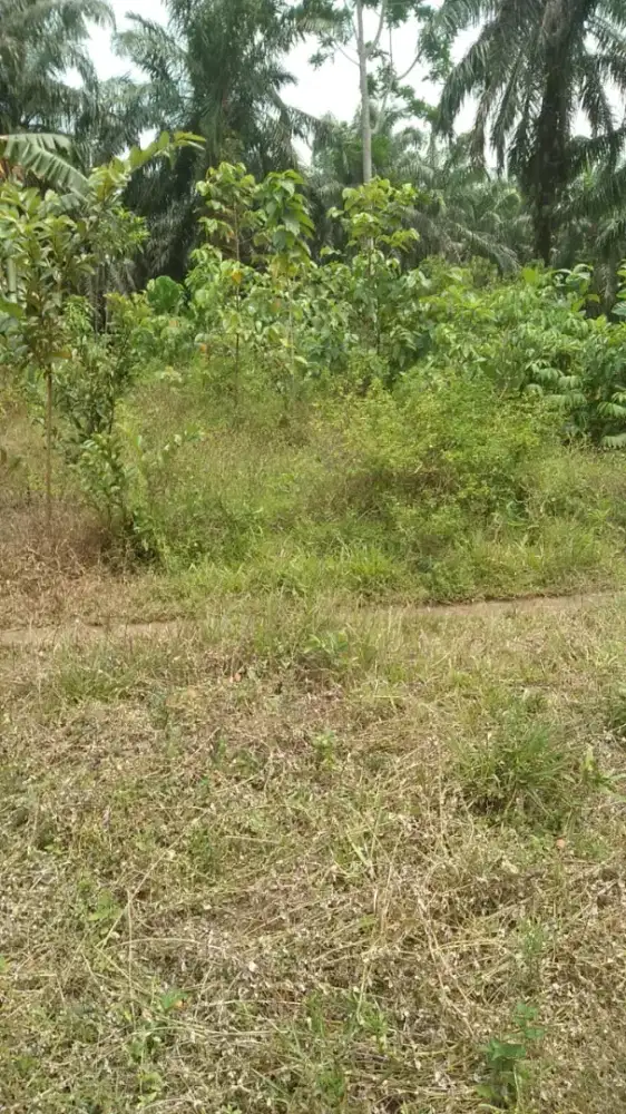 JUAL TANAH TAPAK RUMAH