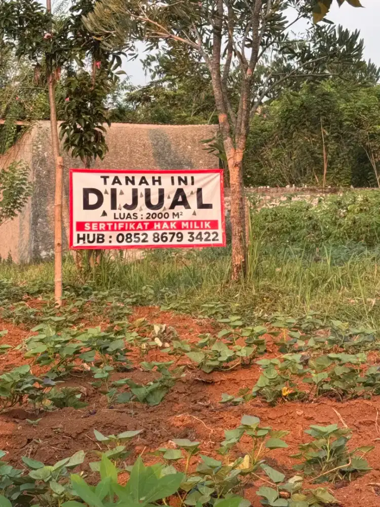 Tanah 2000 m2 dijual