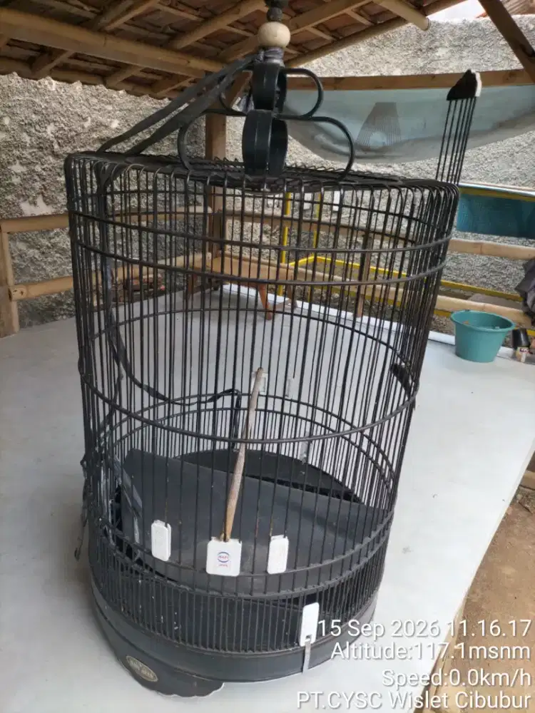 D jual sangkar murai no 3 merk rafi