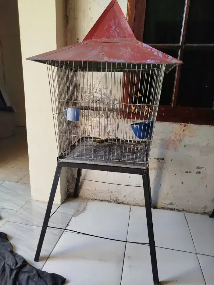 Kandang besi besar
