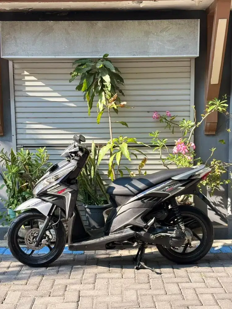 Vario techno 2011