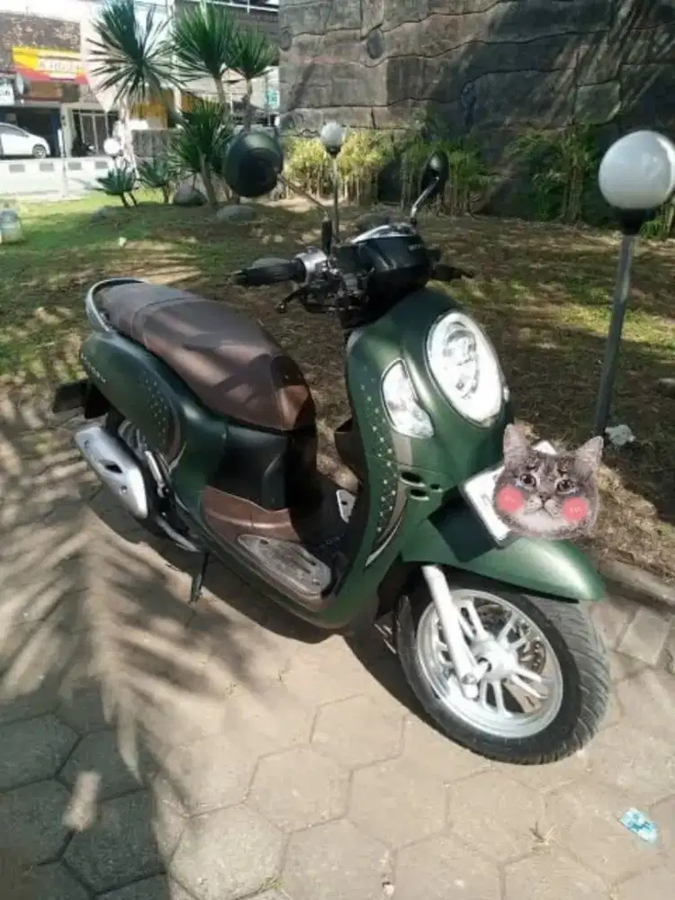 Scoopy 2024 prestige
