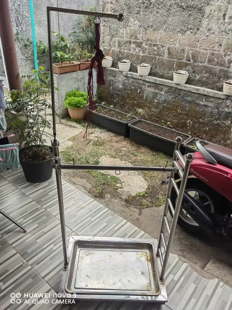 Di jual angkringan stenlis burung kaka tua