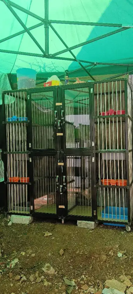 Kandang kucing 4 pintu