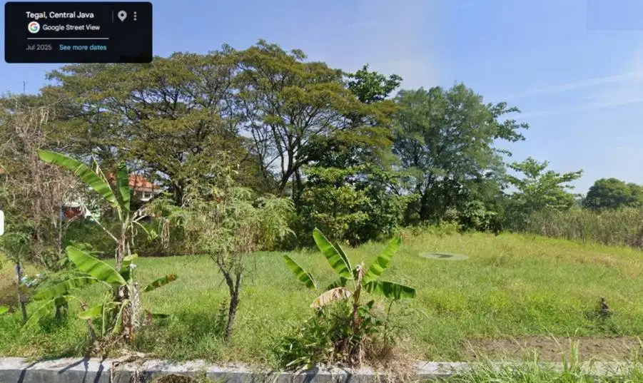 Tanah Kavling Luas 900m2 di Kaligangsa Tegal - Lokasi Emas Rp 1.1 M