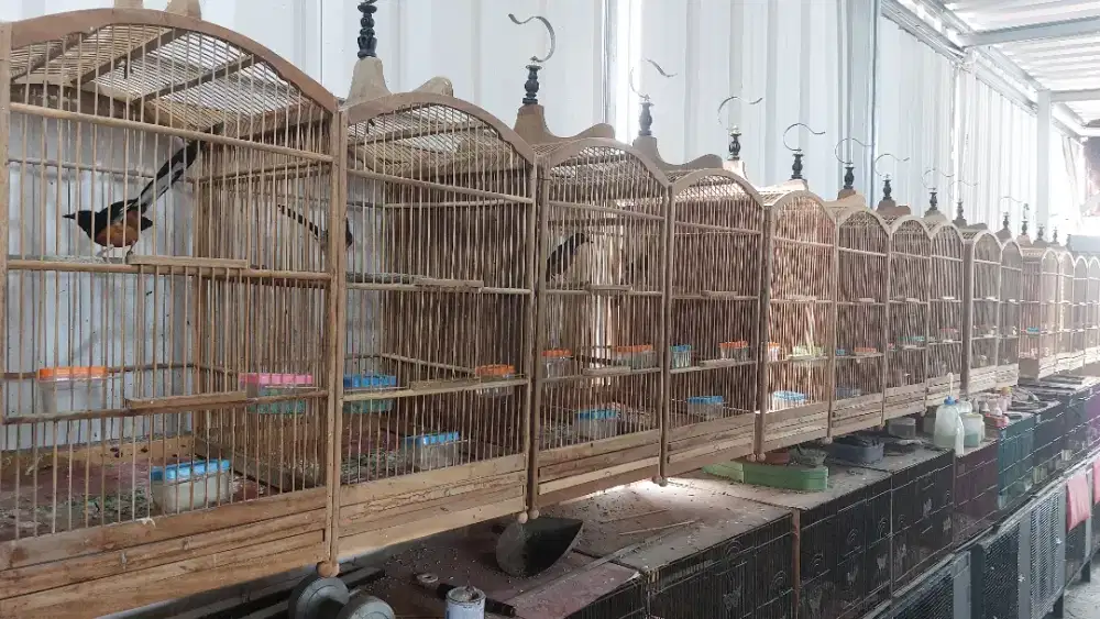 Murai Batu Medan