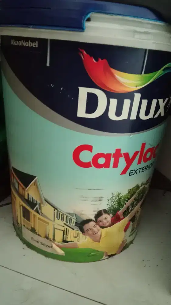 Cat tembok Dulux catulax
