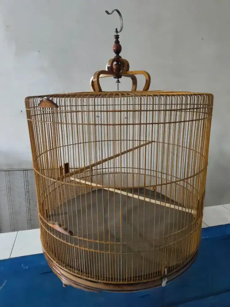 Sangkar D80 jumbo non ros
