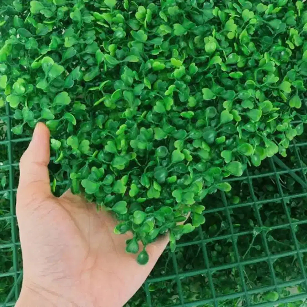 Tanaman hias pohon dolar sintetis