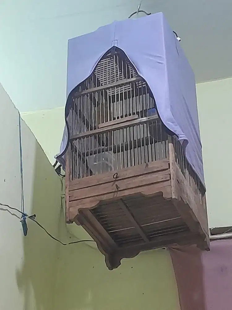 Sankar kecil kayu bagus