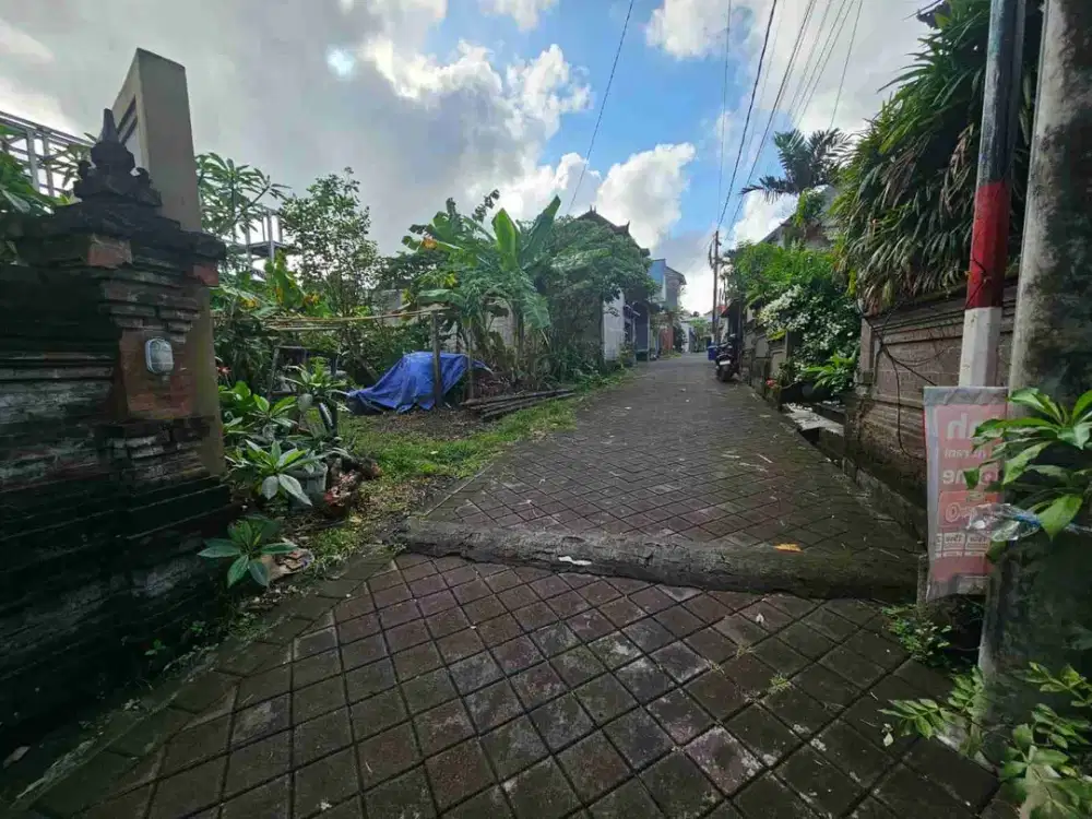 Tanah Berawa Canggu Badung