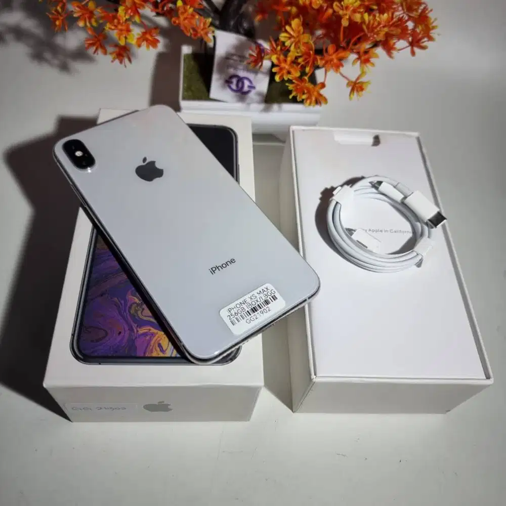 iPhone Xs Max 256GB iBox – Silver GG21902