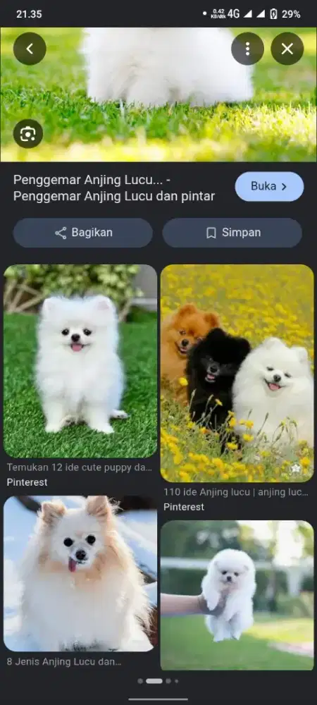 Dibutuhkan Security