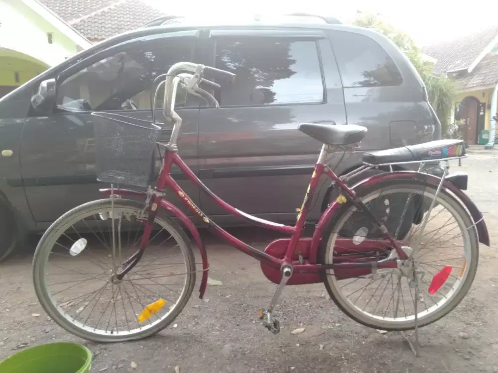 Jual sepeda keluarga Phoenix 24 inci warna merak
