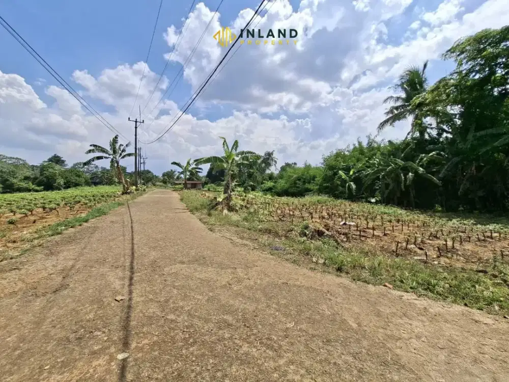 Jual Tanah Padat Siap Bangun di Tajur Halang, Bogor