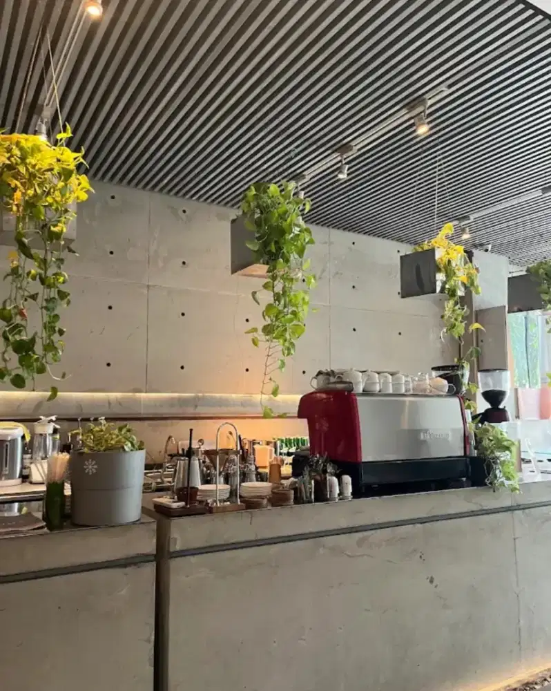 Dibutuhkan waiter untuk Coffee Shop