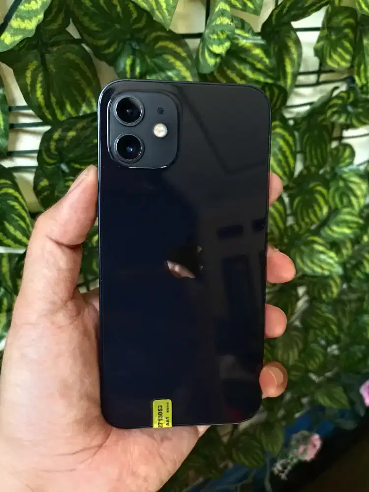 iPhone 12 128 Gb Purple Mulus No Minus