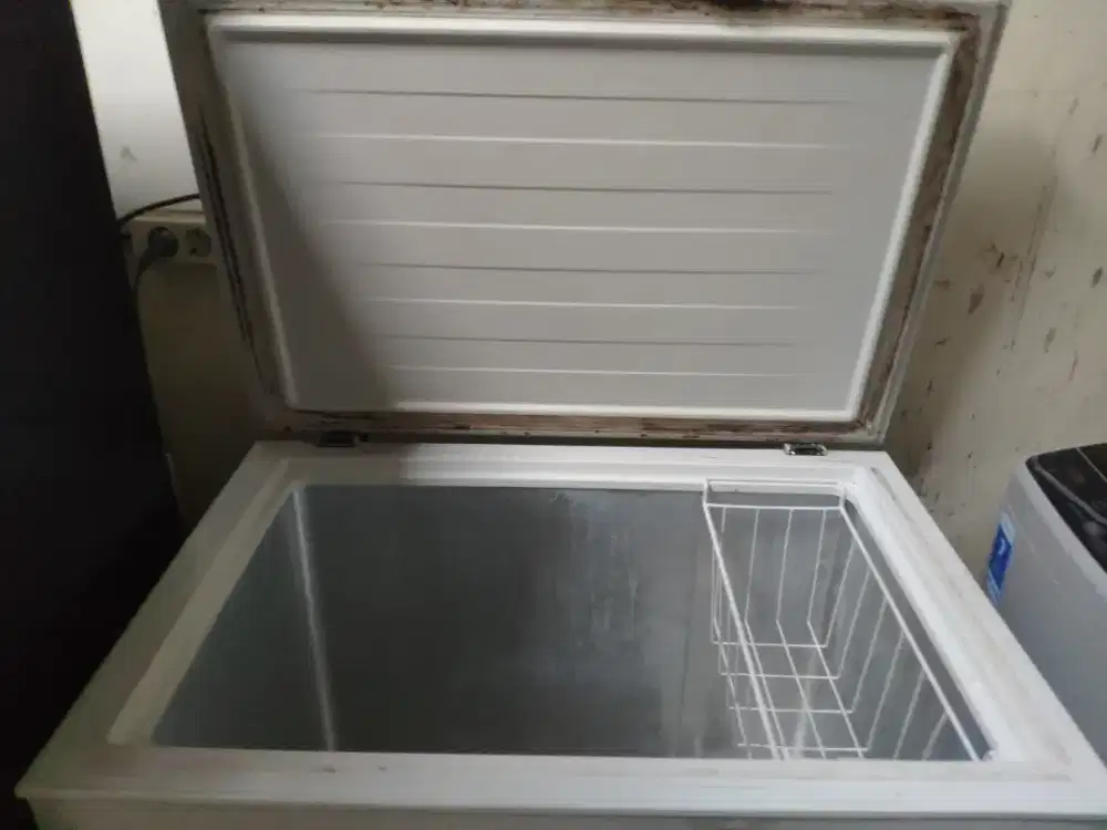 Freezer RSA 200L