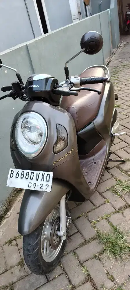 Scoopy keyles tahun 2022