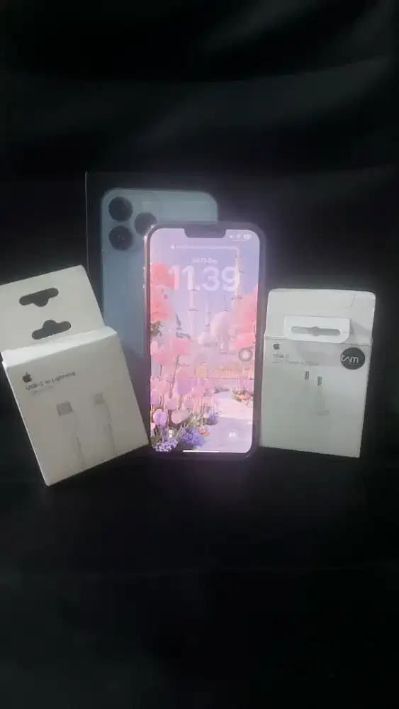 Jual iphone 13 pro max 256 ibox