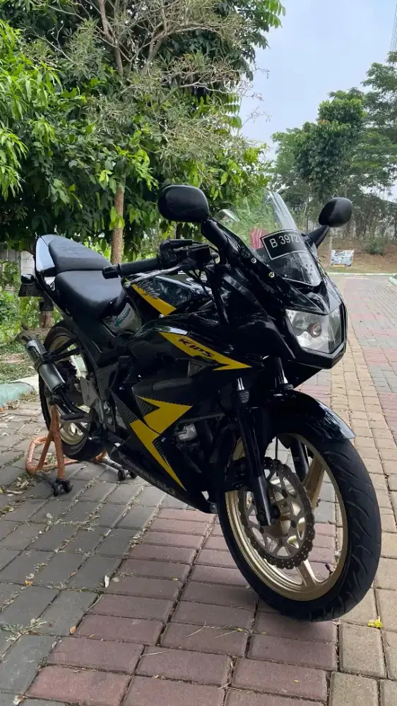 Kawasaki ninja rr 2014