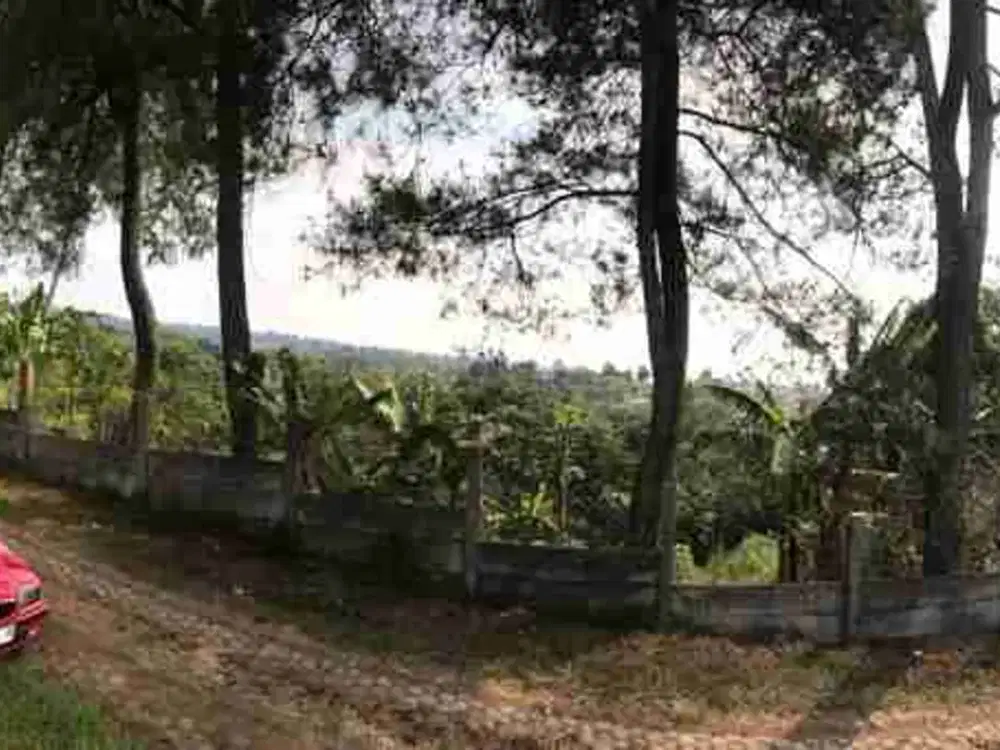 tanah peruntukan villa dan perkebunan di sukagalih megamendung