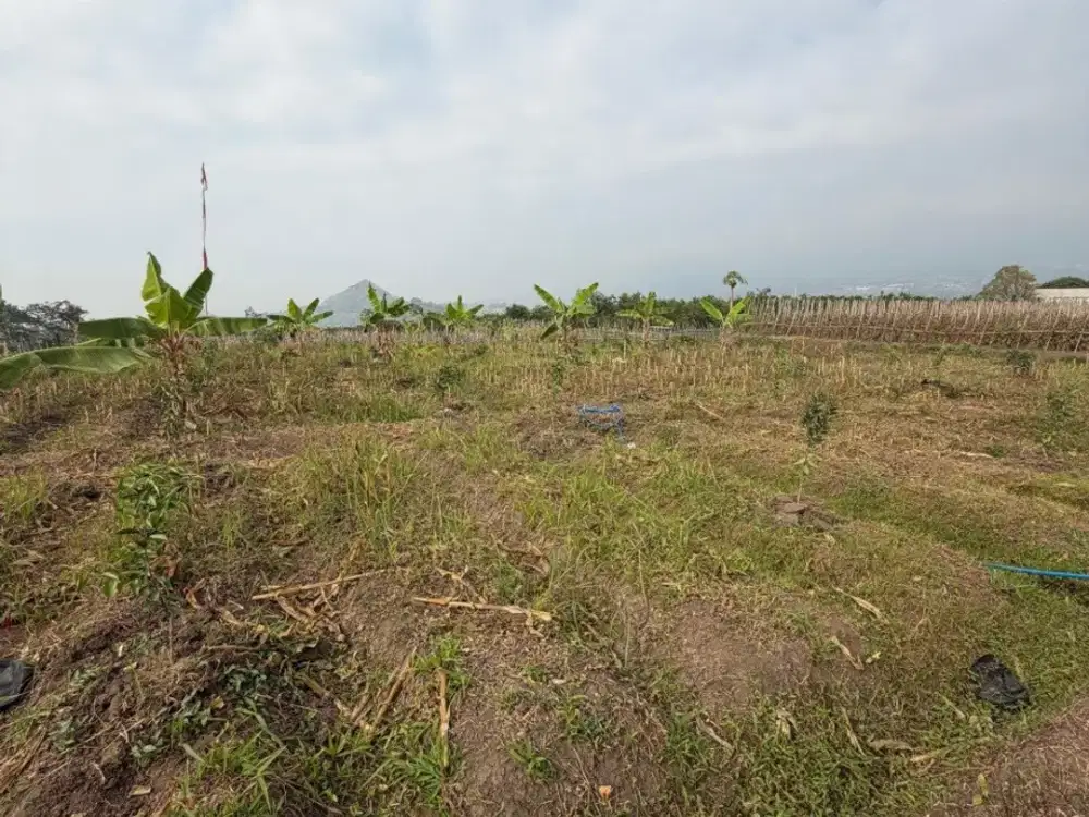 Dijual Tanah Luas Dekat Jalan Raya di Giripurno Karangploso Malang