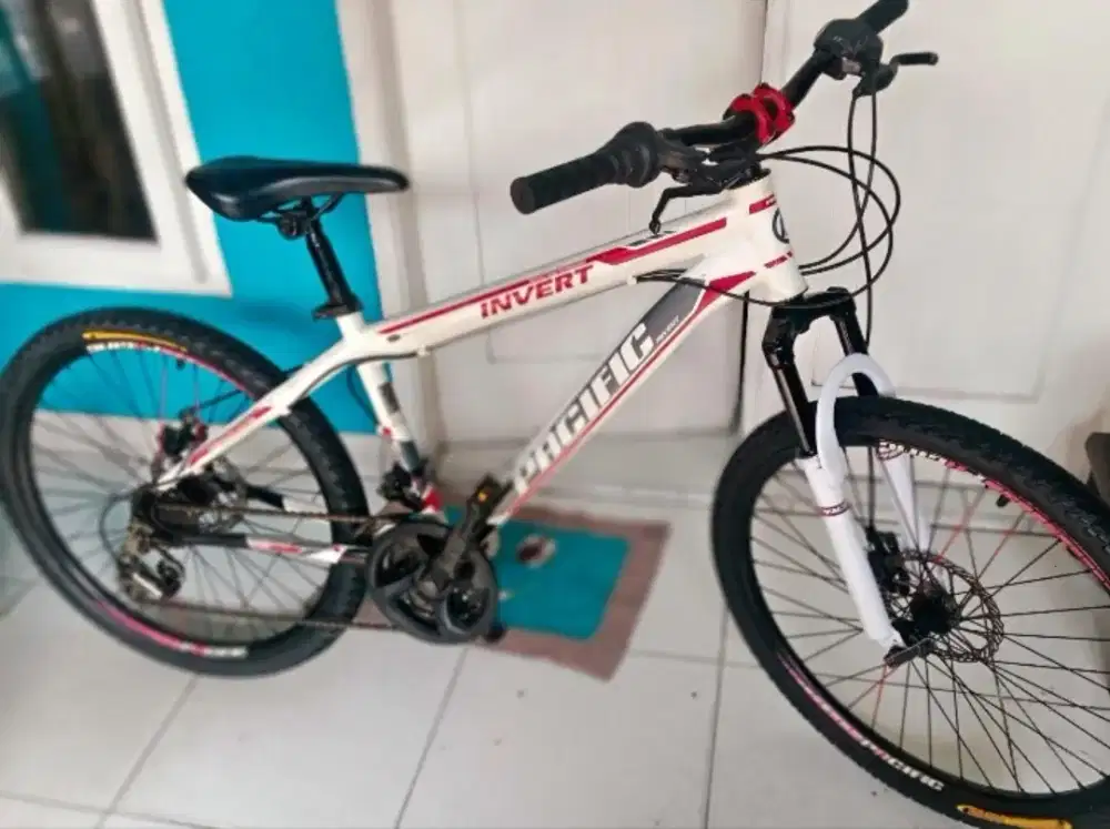 Sepeda invert Pasific
