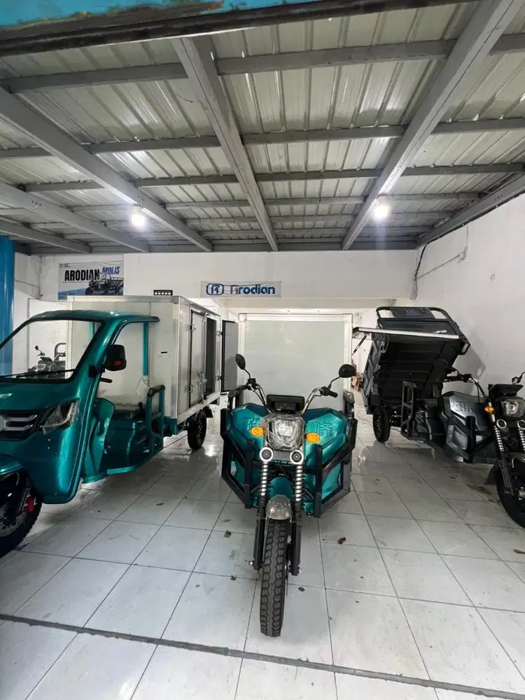 Arodian molis indonesia