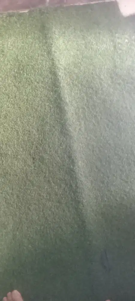 Karpet & rak tempat tidur