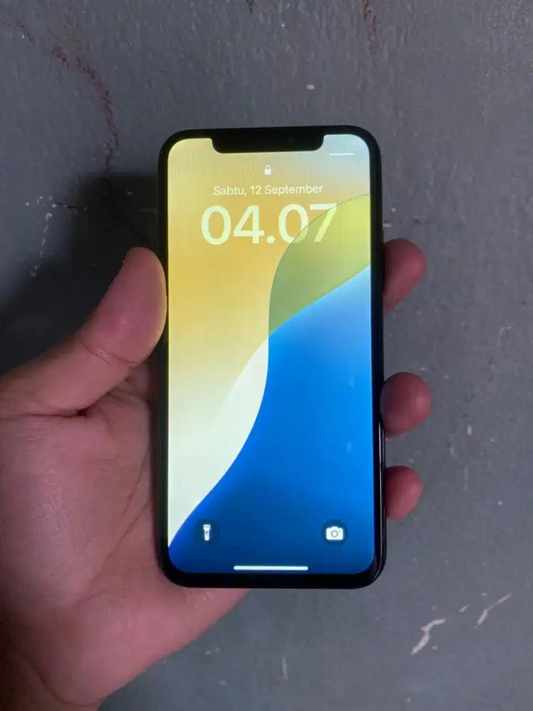 Iphone Xs 256 GB Inter
