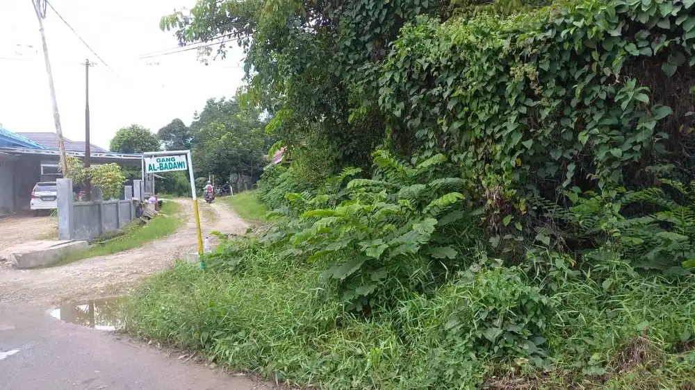 Tanah Disewakan 1019 M2 di Pandan Arum Tabalong Kalsel (Harga nego)